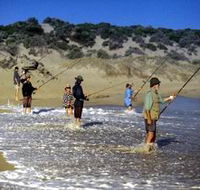 Flippers Beachouse - Accommodation Yamba