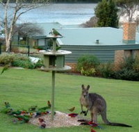 Gipsy Point Lakeside - Accommodation Yamba