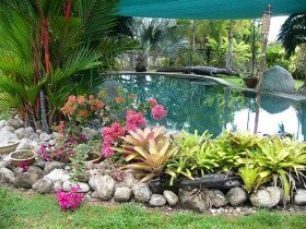 Daintree Wild Bed And Breakfast - Accommodation Yamba 0