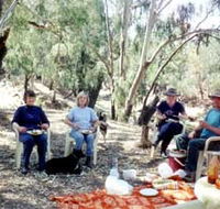 Bimbimbi And Little Hollow Farm Stay - Accommodation Yamba