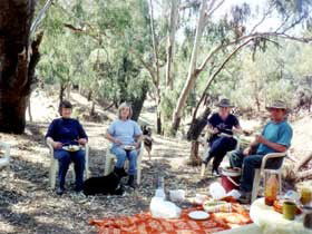 Bimbimbi And Little Hollow Farm Stay - Accommodation Yamba 0