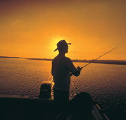 Point Stuart Wilderness Lodge - Accommodation Yamba