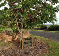 Belle Vue Studio - Accommodation Yamba