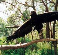 Curlew Hill Sanctuary - Accommodation Yamba