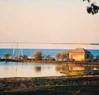 Poltalloch Station - Accommodation Yamba