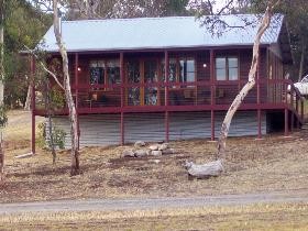 Ivybrook Vineyard Cottage - Accommodation Yamba 0