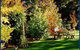 Peartree Cottage Leura - thumb 0