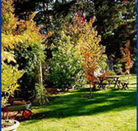 Peartree Cottage Leura