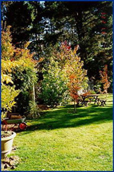 Peartree Cottage Leura - Accommodation Yamba 0