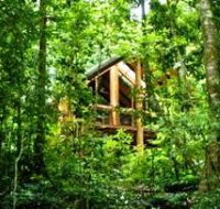 Fur'N'Feathers Rainforest Tree Houses - Accommodation Yamba