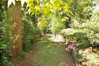 Holly Lodge - Accommodation Yamba 4