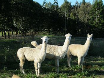 Beerwah QLD Accommodation Yamba