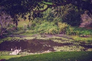 Allara Homestead - Accommodation Yamba 5