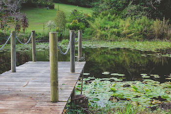 Allara Homestead - Accommodation Yamba 14
