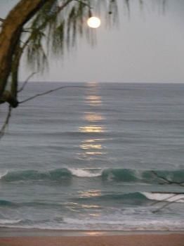 Andari - Accommodation Yamba 2