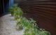 Grand Hotel Wyong - thumb 11