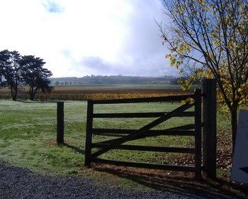 Yering Farm Wines - Accommodation Yamba 10