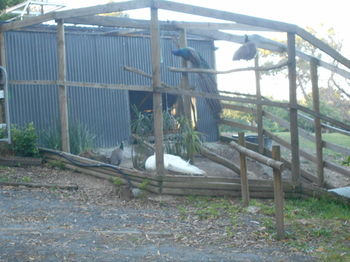 A Twist Of Willow - Accommodation Yamba 20