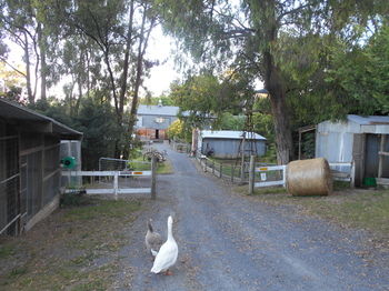 A Twist Of Willow - Accommodation Yamba 21