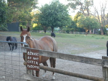 A Twist Of Willow - Accommodation Yamba 26