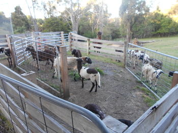 A Twist Of Willow - Accommodation Yamba 27
