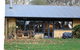 The Kitchen Cottage - thumb 9