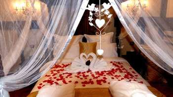 Aquila Nova Retreat - Accommodation Yamba 39