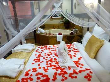 Aquila Nova Retreat - Accommodation Yamba 40