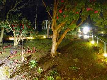 Aquila Nova Retreat - Accommodation Yamba 43