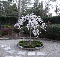 Corner Manor Leura