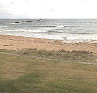 Penguin Caravan Park - Accommodation Yamba