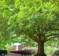 Lakes and Craters Holiday Park - Accommodation Yamba