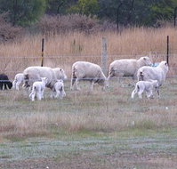 Auberge Woodend - Accommodation Yamba