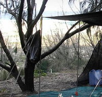 Main Beach Foreshore Camping Grounds - Accommodation Yamba