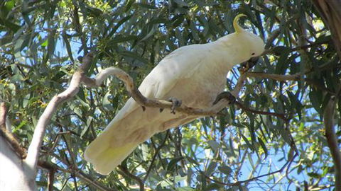 River Gardens Bed And Breakfast Farmstay - Accommodation Yamba 1