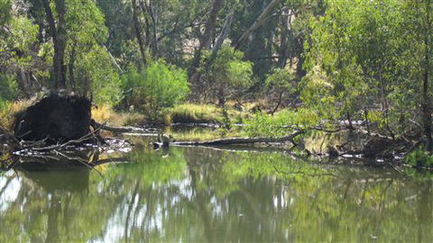 River Gardens Bed And Breakfast Farmstay - Accommodation Yamba 2