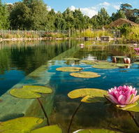 Planetrees Estate  - Accommodation Yamba