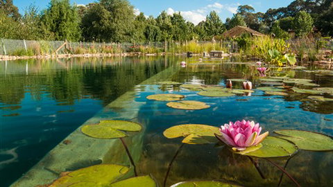 Planetrees Estate  - Accommodation Yamba 0