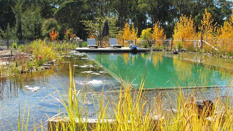 Planetrees Estate  - Accommodation Yamba 5
