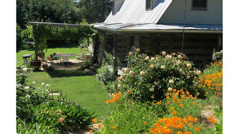 Planetrees Estate  - Accommodation Yamba 6