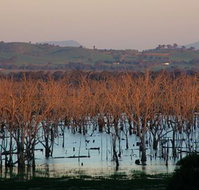 Salisbury - Accommodation Yamba