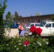 Boerbuck Country Motel  Host Farm - Accommodation Yamba