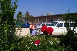 Boerbuck Country Motel & Host Farm - Accommodation Yamba 0
