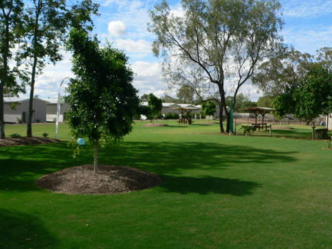 Chinchilla Tourist Park - Accommodation Yamba 1