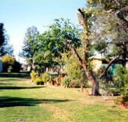 Condamine River Caravan Park - Accommodation Yamba