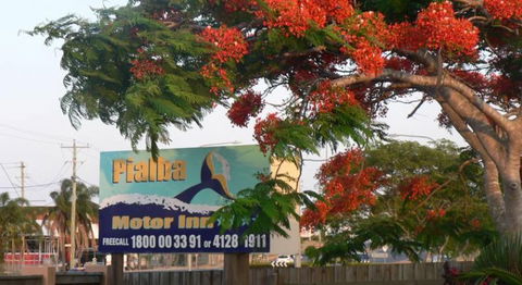 Pialba Motor Inn - Accommodation Yamba 8