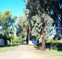 Cudal Caravan Park - Accommodation Yamba
