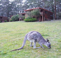 Jenolan Caves Cottages - Accommodation Yamba