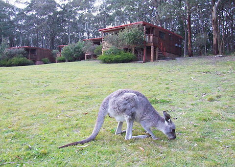 Jenolan Caves Cottages - Accommodation Yamba 0