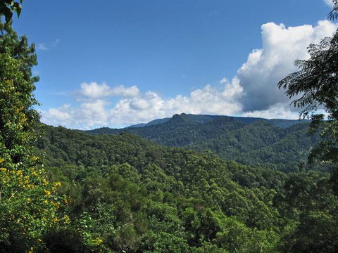 Kallora Escape Bed & Breakfast - Accommodation Yamba 5